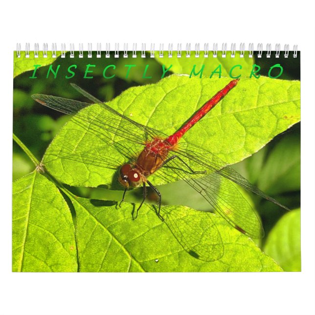 Calendario de fotografía macro de insectos (Tapa)