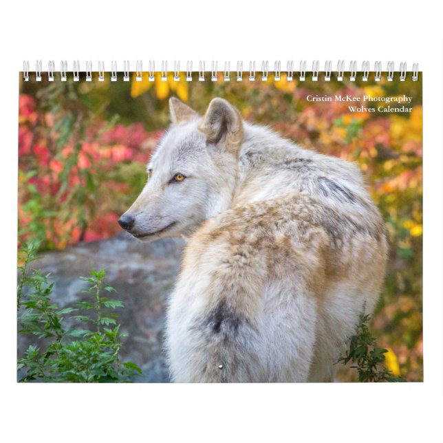 Calendario de fotografía Wolf (Tapa)