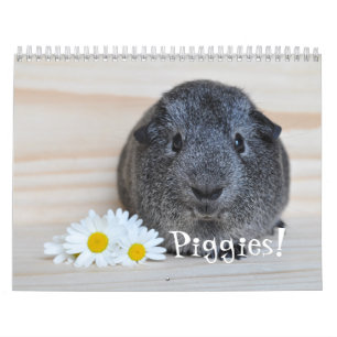 Calendario de fotografías de cerdos de Guinea