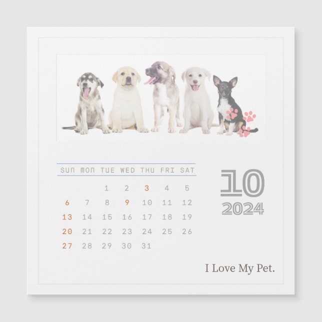 Calendario de fotos de 2024 para amantes de mascot (Anverso)