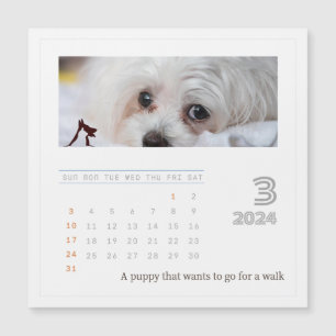 Calendario de fotos de 2024 para amantes de mascot