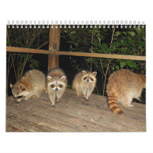 Calendario de Fotos de Amantes de Mapaches