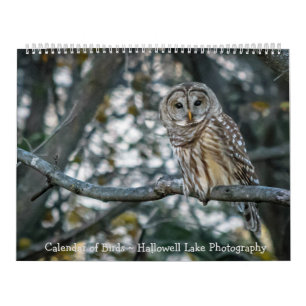 Calendario de fotos de aves en el lago Hallowell