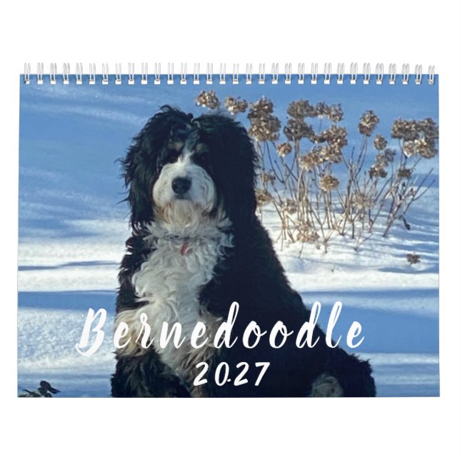 Calendario de fotos de Bernedoodle 2026 (Tapa)