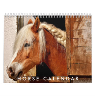 Calendario de fotos de caballos 2026