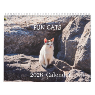 Calendario de Fotos de Gatos Divertidos – Bigotes