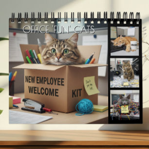 Calendario de Fotos de Gatos Divertidos en la Ofic