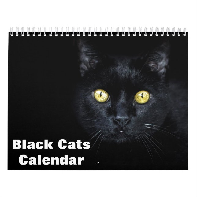 Calendario de fotos de gatos negros 2025 (Tapa)