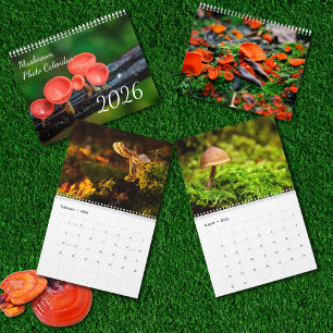 Calendario de Fotos de Hongos Encantados 2026