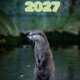 Calendario de fotos de la naturaleza y las estacio