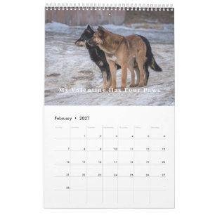 Calendario de Fotos de Perro Divertido Personaliza