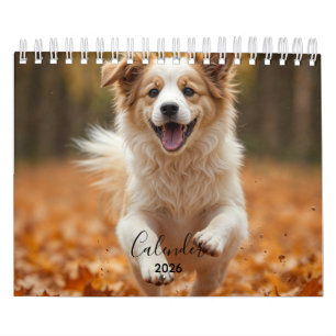 Calendario de Fotos de Perro Personalizado Moderno