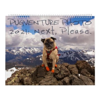 Calendario de fotos de Pugventure 2021: Siguiente,
