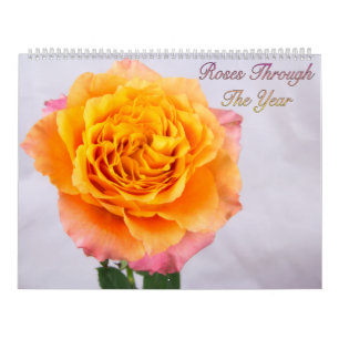 Calendario de Fotos de Rosas a lo Largo del Año