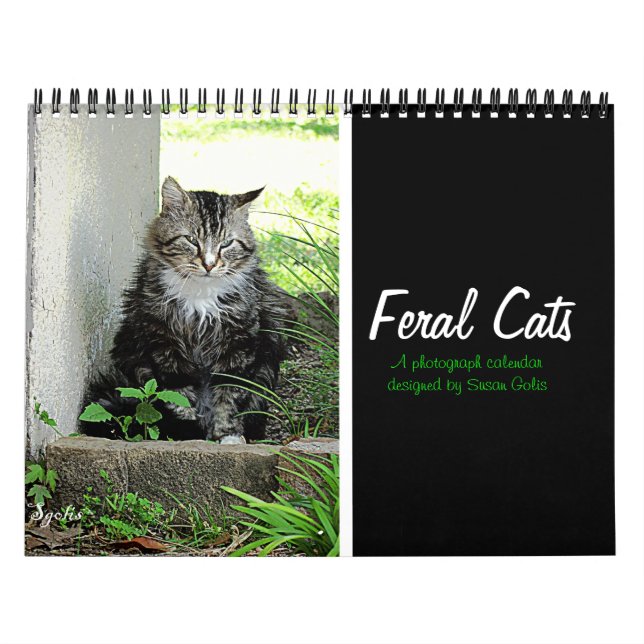 Calendario de Fotos del Gato Feral (Tapa)