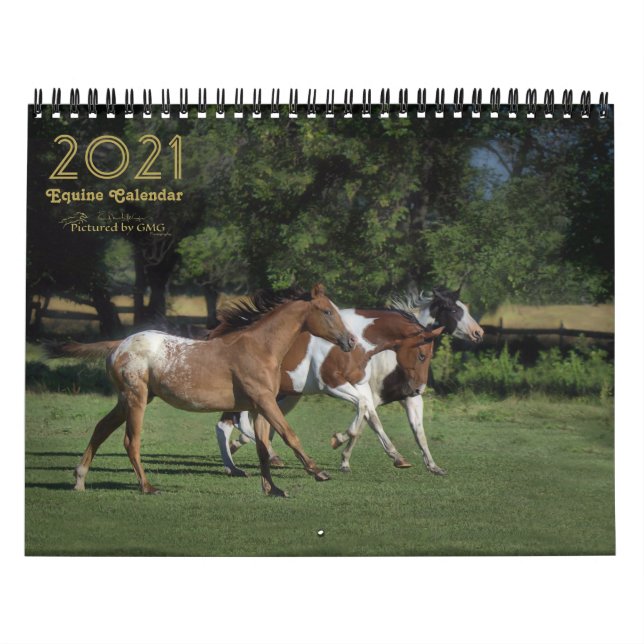 Calendario de fotos ecuatorianas de 2021 (Tapa)