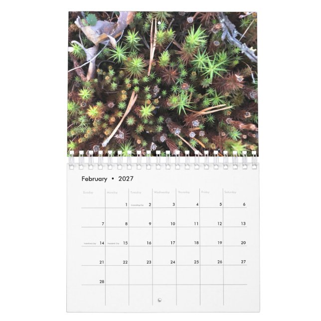 Calendario de fotos gráficas (Feb 2027)