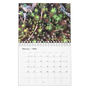Calendario de fotos gráficas