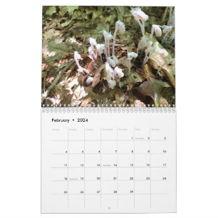 Calendario de fotos mediano de dos páginas persona