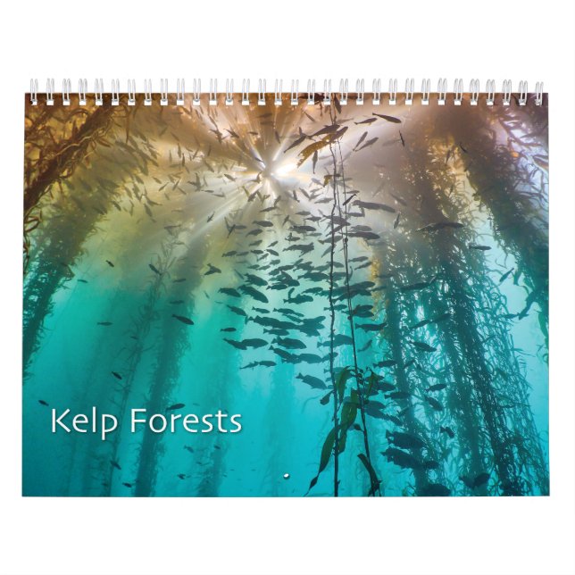 Calendario de fotos submarinas del bosque Kelp - O (Tapa)