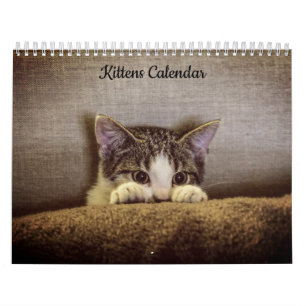Calendario de gatitos 2025