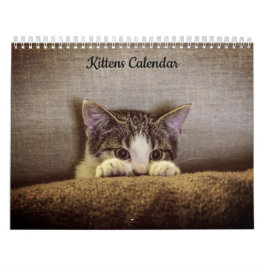 Calendario de gatitos 2026