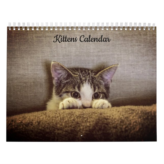 Calendario de gatitos 2026 (Tapa)