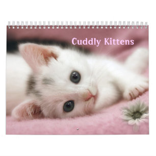 Calendario de gatitos de cuidado