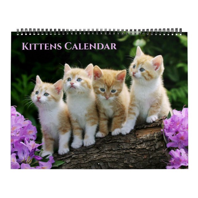 Calendario de gatitos de gran tamaño (Tapa)