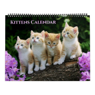 Calendario de gatitos de gran tamaño