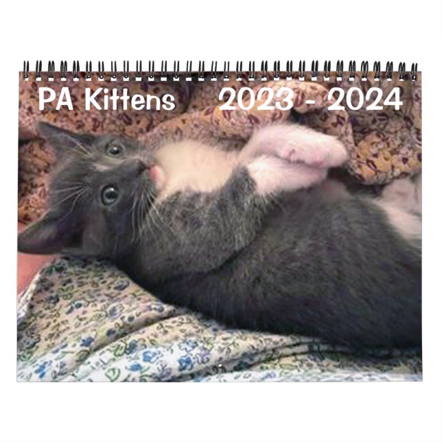 Calendario de gatitos de PA de 2 años (Tapa)