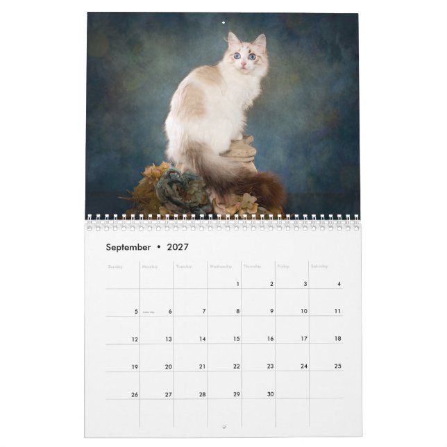 Calendario de gatitos de Sweet Ragdoll (Sep 2027)