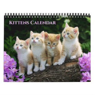 Calendario de Gatitos de Tamaño Mediano