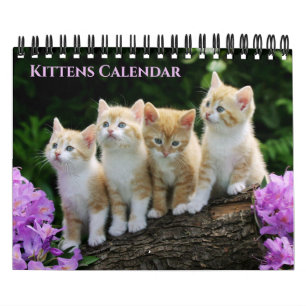 Calendario de Gatitos de Tamaño Pequeño