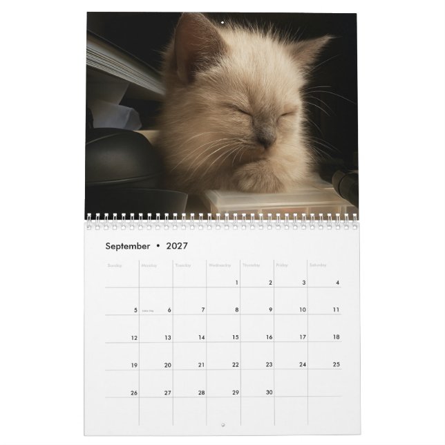 Calendario de gatitos lindos para 2026 (Sep 2027)
