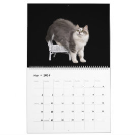 Calendario de Gatitos Siberianos