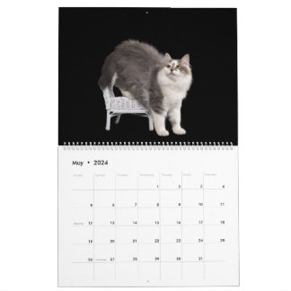 Calendario de Gatitos Siberianos