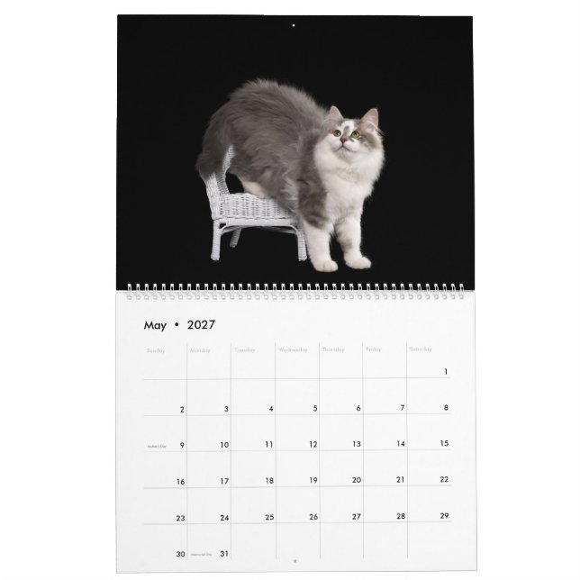 Calendario de Gatitos Siberianos (May 2027)