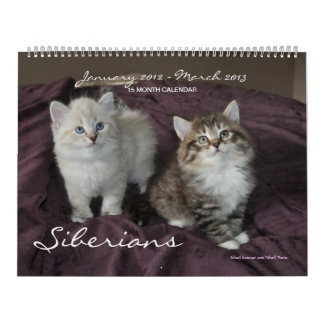 Calendario de gatitos siberianos 2012-2013
