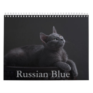 Calendario de gato azul de Rusia