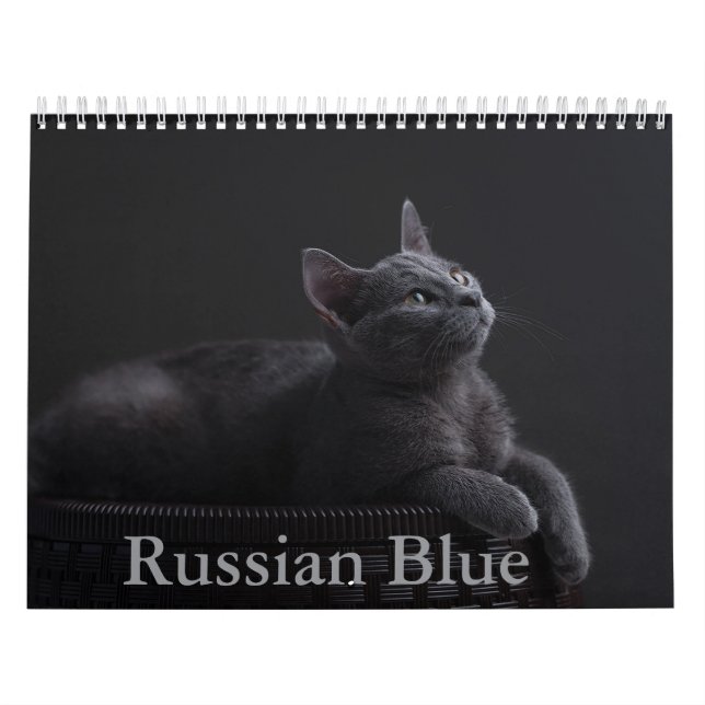 Calendario de gato azul de Rusia (Tapa)