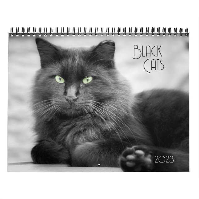 Calendario de gato negro (Tapa)