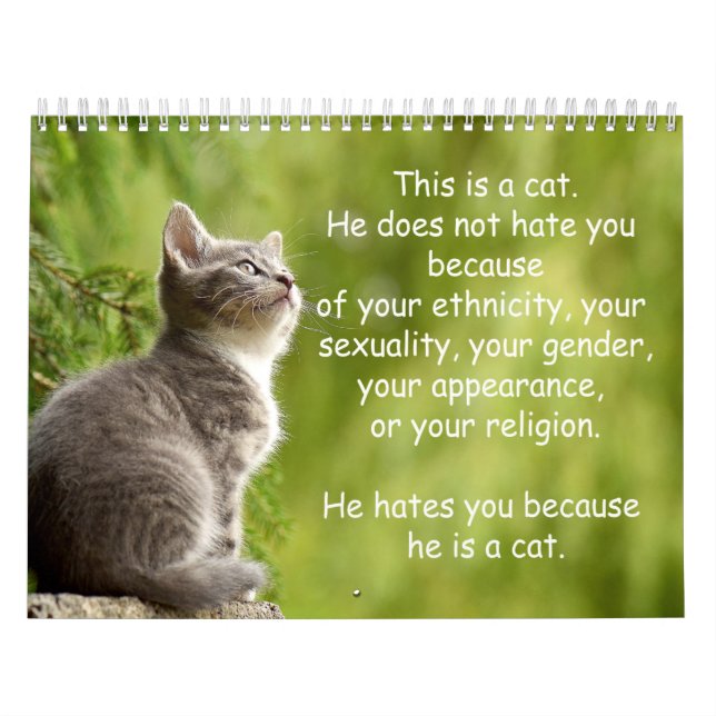 Calendario de gatos (Tapa)