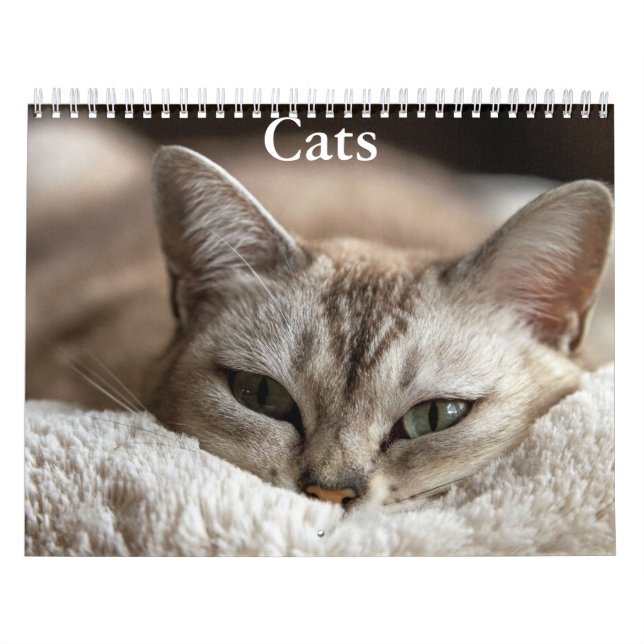 Calendario de Gatos (Tapa)