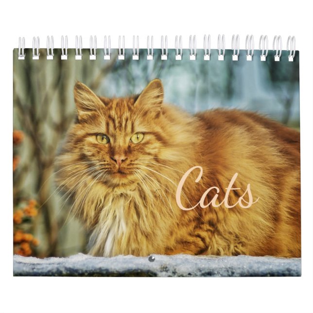 Calendario de gatos (Tapa)