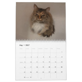 Calendario de Gatos