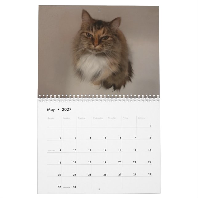 Calendario de Gatos (May 2027)