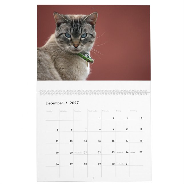 Calendario de gatos (Dec 2027)