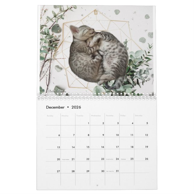 Calendario de gatos 2023 (Dec 2026)