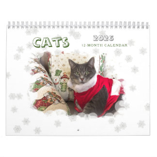 Calendario de gatos 2024
